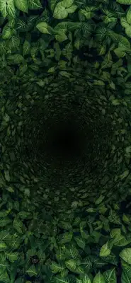الأداء الرياضي session visual
